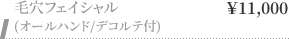 毛穴フェイシャル (オールハンド/デコルテ付) ￥11,000