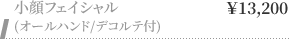 小顔フェイシャル (オールハンド/デコルテ付) ￥13,200