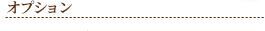オプション